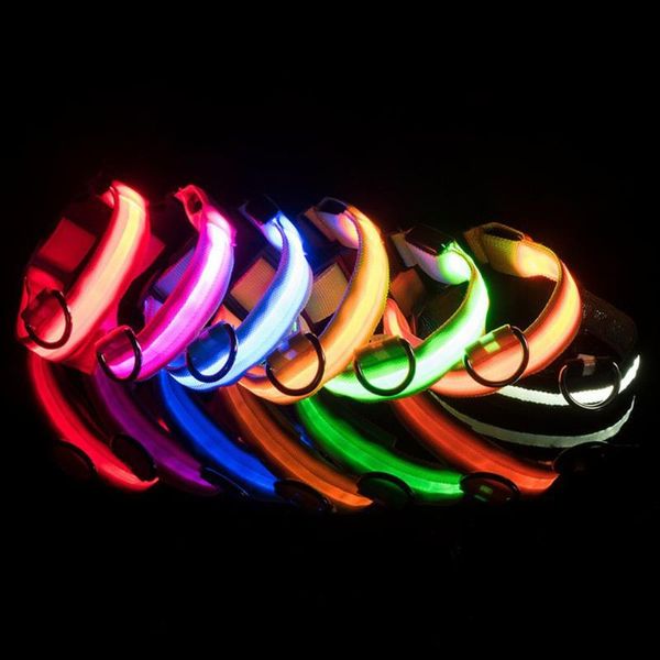 cat collars & leads usb charging led dog collar anti-lost/avoid car accident for dogs puppies supplies pet products
cat collars & leads usb charging led dog collar anti-lost/avoid car accident for dogs puppies supplies pet products