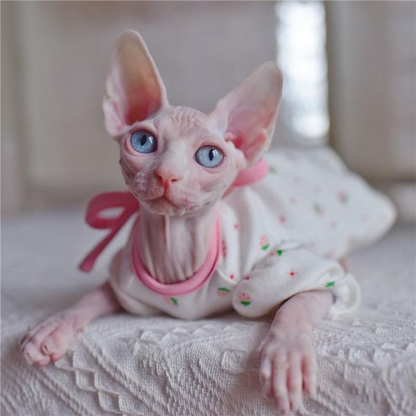 sphynx cat outfits flower cute strawberry puff sleeve dresses for cats hairless cat clothes summer thin sleeveless skirt
sphynx cat outfits flower cute strawberry puff sleeve dresses for cats hairless cat clothes summer thin sleeveless skirt