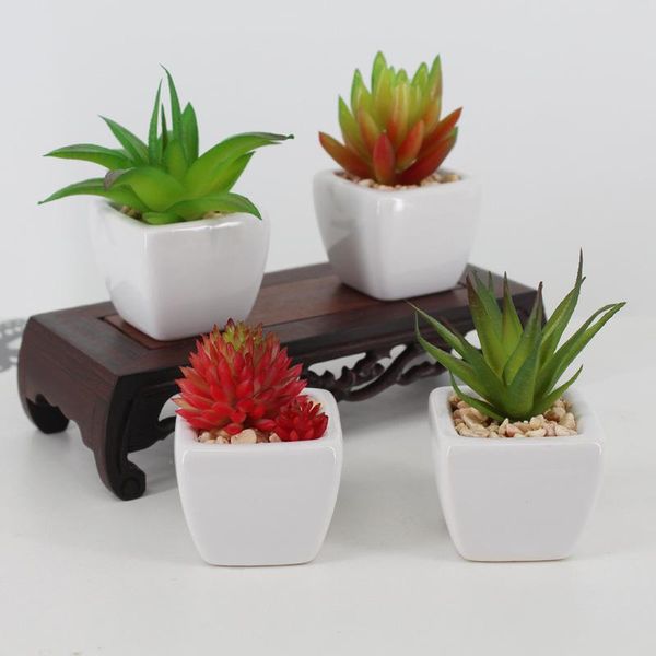 artificial plants with pot simulation succulents mini bonsai potted placed green fake plants table decoration
artificial plants with pot simulation succulents mini bonsai potted placed green fake plants table decoration