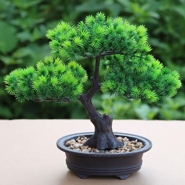 artificial pine bonsai simulation green fake plants home office desks decoration
artificial pine bonsai simulation green fake plants home office desks decoration