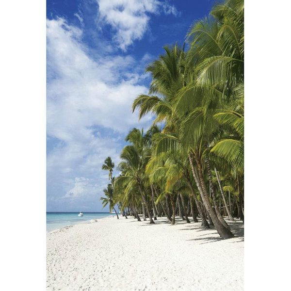 party decoration natural scenery backdrop tropical beach palm trees pography background decor born wedding po booth prop
party decoration natural scenery backdrop tropical beach palm trees pography background decor born wedding po booth prop