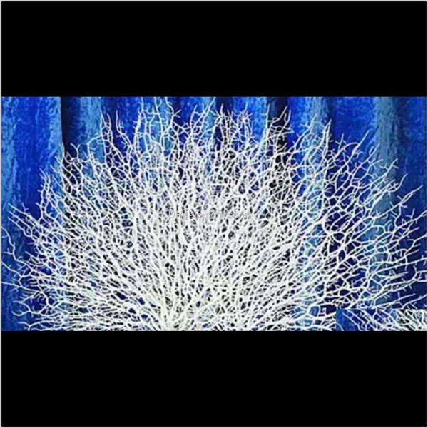 aquariums decorations ornaments fish tank aquarium accessories decoration coral branch peacock tail dry branches dec qylgzt pthome
aquariums decorations ornaments fish tank aquarium accessories decoration coral branch peacock tail dry branches dec qylgzt pthome