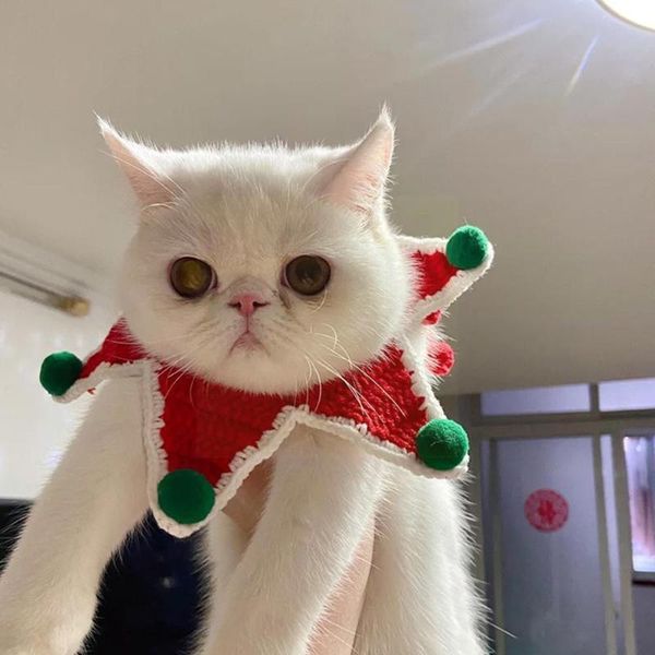 cat costumes pet scarf saliva towel christmas themed supplies cute dog collar xmas tree bib shape elastic t7q6
cat costumes pet scarf saliva towel christmas themed supplies cute dog collar xmas tree bib shape elastic t7q6