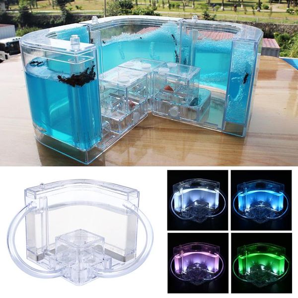 small animal supplies colorful ants house feeding area funny luminous decoration 10.8cm ant farm insect transparent art villa kids gift
small animal supplies colorful ants house feeding area funny luminous decoration 10.8cm ant farm insect transparent art villa kids gift