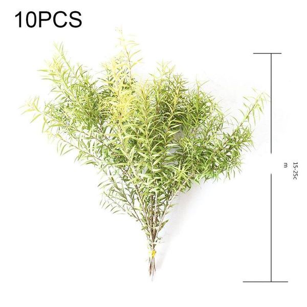 melaleuca dried flower bouquet for home decorative eternal grass real dried floral forever flower preserved flowers home decor
melaleuca dried flower bouquet for home decorative eternal grass real dried floral forever flower preserved flowers home decor