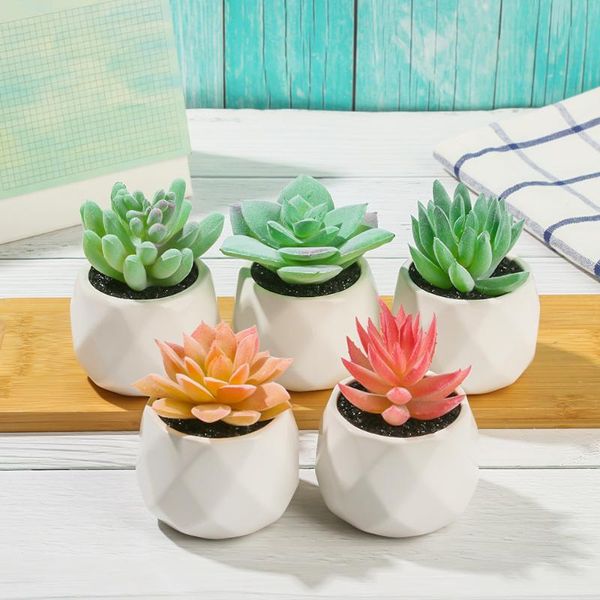 decorative flowers & wreaths mini artificial succulents plants bonsai for home garden decoration wedding wall flower fake with pot
decorative flowers & wreaths mini artificial succulents plants bonsai for home garden decoration wedding wall flower fake with pot