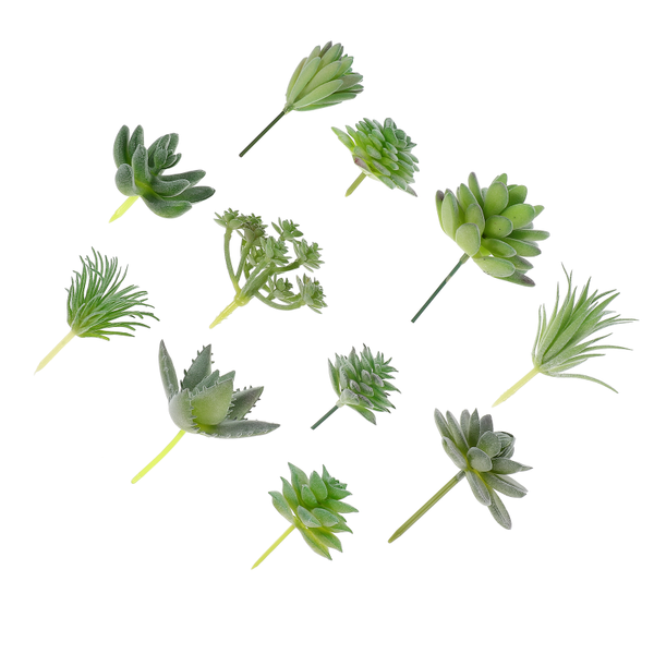 decorative flowers & wreaths 11pcs fake succulent plants vivid micro landscape decorations simulation plant
decorative flowers & wreaths 11pcs fake succulent plants vivid micro landscape decorations simulation plant