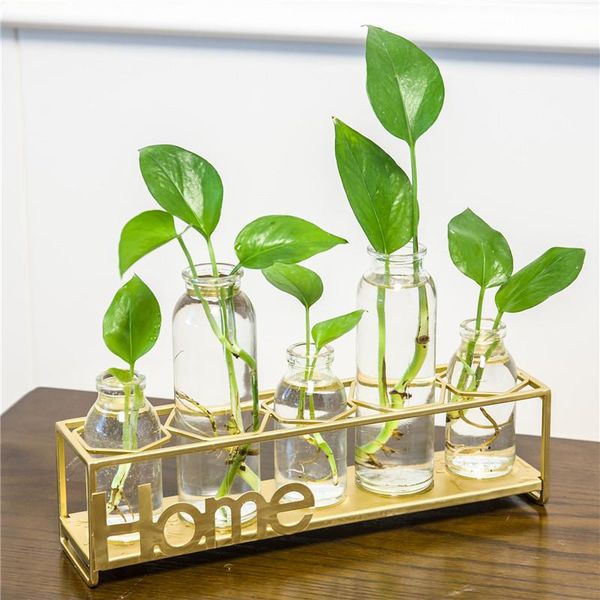 vases metal holder with glass vase water culture plant living room flower arrangement ins home creative decoration
vases metal holder with glass vase water culture plant living room flower arrangement ins home creative decoration
