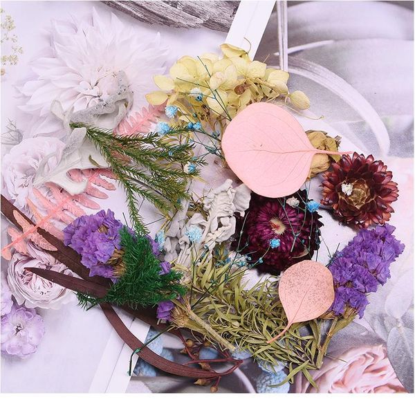 1 box hybrid real dried flowers plant for aromatherapy candle epoxy resin pendant necklace jewelry making craft diy acc jllmqd
1 box hybrid real dried flowers plant for aromatherapy candle epoxy resin pendant necklace jewelry making craft diy acc jllmqd