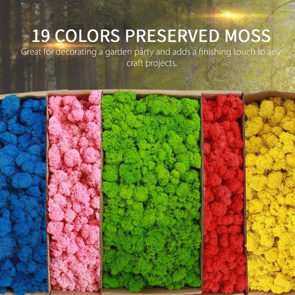 preserved moss wall decor real preserved moss no maintenance required naturally office home garden decoration
preserved moss wall decor real preserved moss no maintenance required naturally office home garden decoration