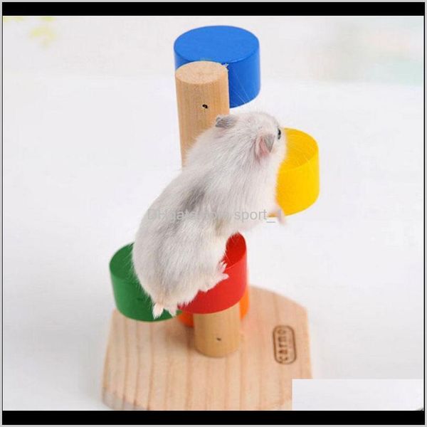 natural wooden colorful scaling ladder fun play pet toys rat hamsters toy wooden hamster funny exercise lookout tower mouse toys 7u0bq gb6e9
natural wooden colorful scaling ladder fun play pet toys rat hamsters toy wooden hamster funny exercise lookout tower mouse toys 7u0bq gb6e9