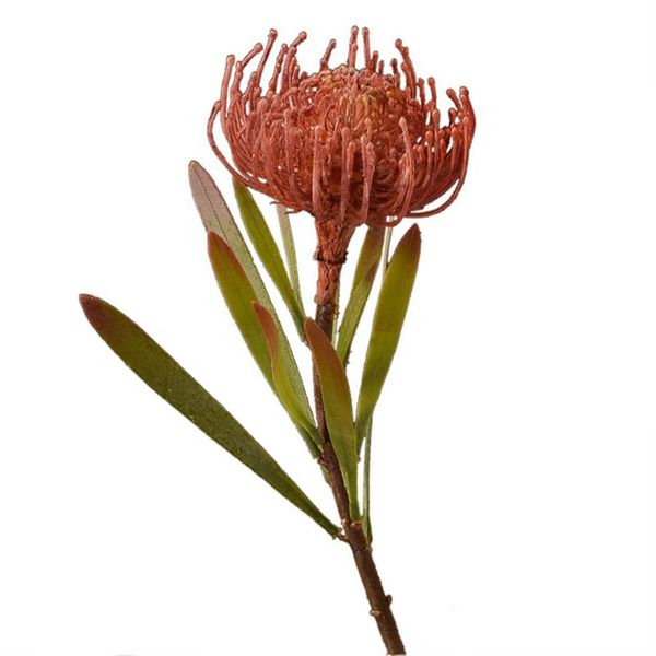 decorative flowers & wreaths 6pcs artificial pincushion chrysanthemum plastic fake imperial flower faux plant branch leafs for home garden s
decorative flowers & wreaths 6pcs artificial pincushion chrysanthemum plastic fake imperial flower faux plant branch leafs for home garden s