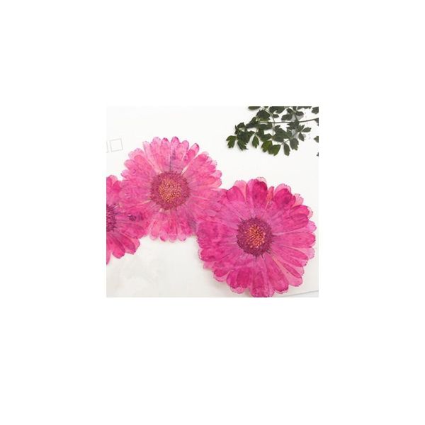 12pcs,natural pressed flowers rose real dried calendula,diy art craft valentines gift bookmark decoration,scented cand qylqfa
12pcs,natural pressed flowers rose real dried calendula,diy art craft valentines gift bookmark decoration,scented cand qylqfa