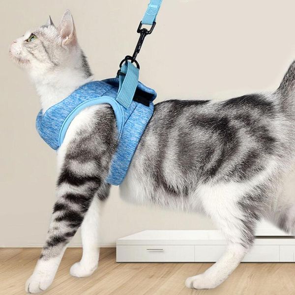 cat collars & leads adjustable harness vest with traction rope puppy outdoor walking lead leash strap pet solid color comfortable
cat collars & leads adjustable harness vest with traction rope puppy outdoor walking lead leash strap pet solid color comfortable