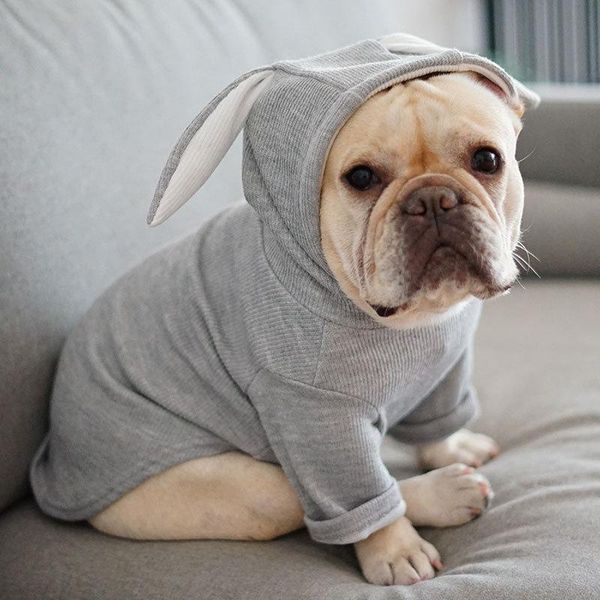 dog apparel autumn and winter casual styles pet dogs clothing warm comfortable fashions cute two feet garments bichon jacket
dog apparel autumn and winter casual styles pet dogs clothing warm comfortable fashions cute two feet garments bichon jacket