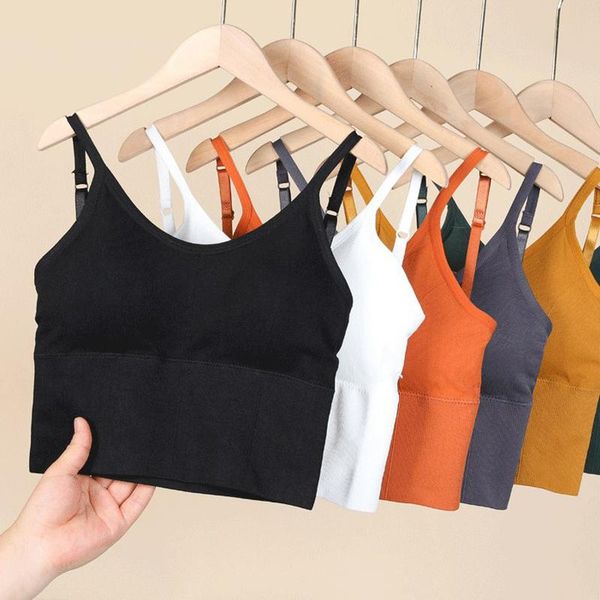 yoga outfit fitness women girls cotton sports bras breathable quick dry padded shockproof gym workout push up bra crop top
yoga outfit fitness women girls cotton sports bras breathable quick dry padded shockproof gym workout push up bra crop top