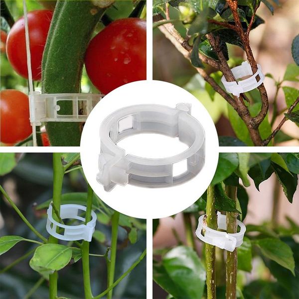 other garden supplies 50pcs invisible wall rattan clamp clip plant climbing vines fixture sticky hook holder
other garden supplies 50pcs invisible wall rattan clamp clip plant climbing vines fixture sticky hook holder