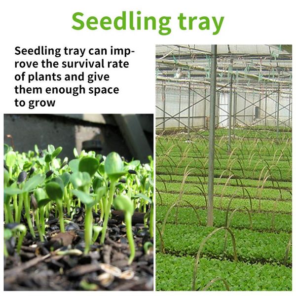 planters & pots 5pcs multiple cells seedling starter trays transparent planting for seedlings greenhouse sasi
planters & pots 5pcs multiple cells seedling starter trays transparent planting for seedlings greenhouse sasi