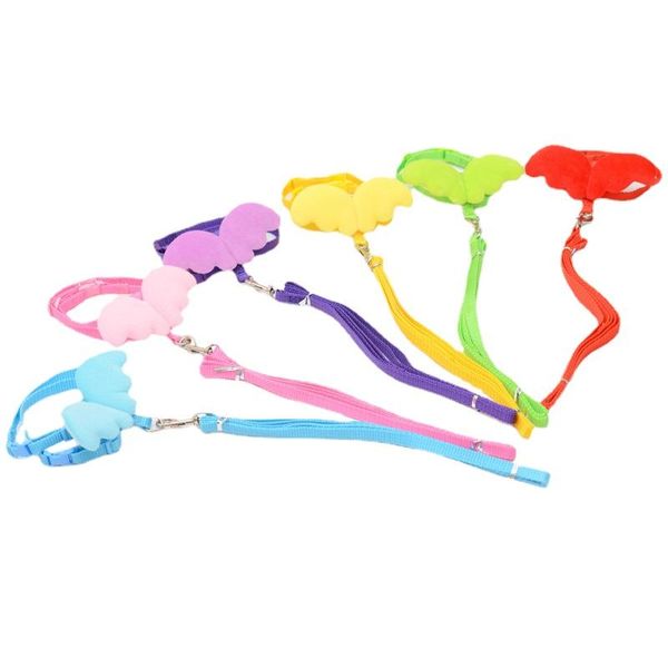 dog collars & leashes little angel pet wings chest strap leash for cats and dogs products
dog collars & leashes little angel pet wings chest strap leash for cats and dogs products