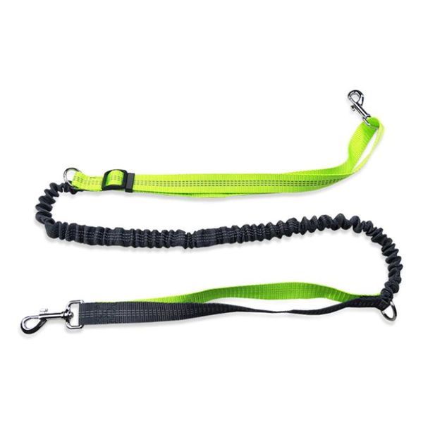 dog collars & leashes running jogging leads harnesses waistdog chain for large dogs puppy traction rope with waterproof pockets 11
dog collars & leashes running jogging leads harnesses waistdog chain for large dogs puppy traction rope with waterproof pockets 11