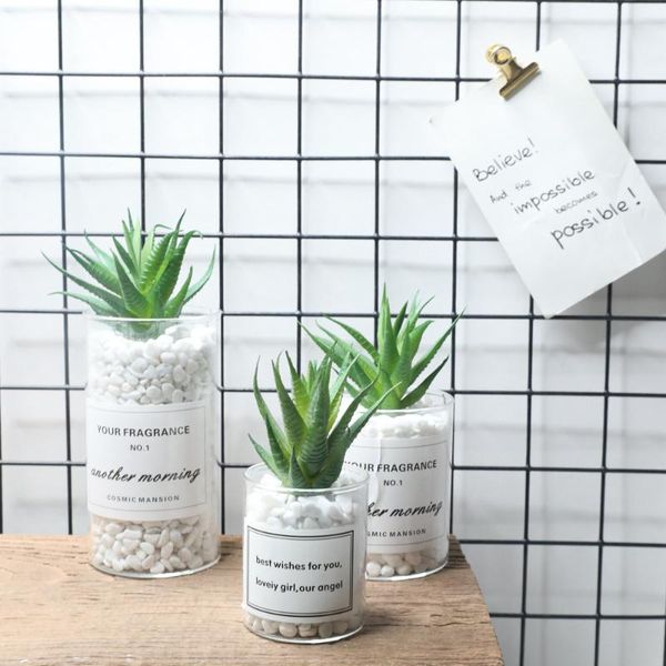 artificial plants succulents striped aloe flower simulation adornment pgraphy props garden vase decor
artificial plants succulents striped aloe flower simulation adornment pgraphy props garden vase decor
