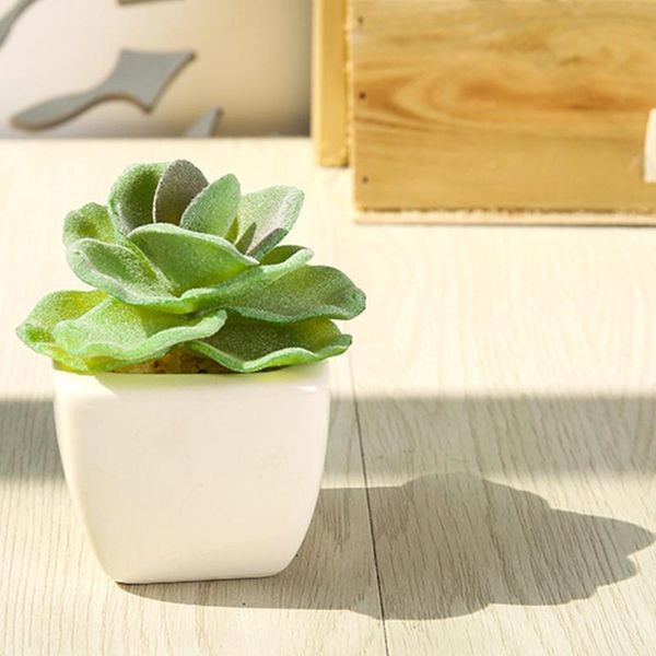 decorative flowers & wreaths mini plant bonsai artificial succulents decor simulation potted multiple styles for home office school
decorative flowers & wreaths mini plant bonsai artificial succulents decor simulation potted multiple styles for home office school