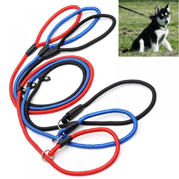 dog collars & leashes 1pc pet nylon rope training leash running walk train for large small cat pets slip lead strap adjustable traction coll
dog collars & leashes 1pc pet nylon rope training leash running walk train for large small cat pets slip lead strap adjustable traction coll
