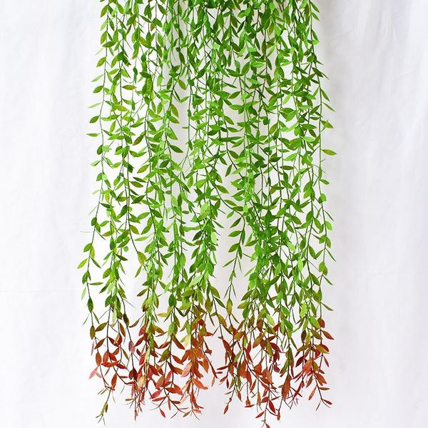 spray color model red guojianglong grass wall hangers lengthen green grass wall hangers landscape green plant vine leaves
spray color model red guojianglong grass wall hangers lengthen green grass wall hangers landscape green plant vine leaves