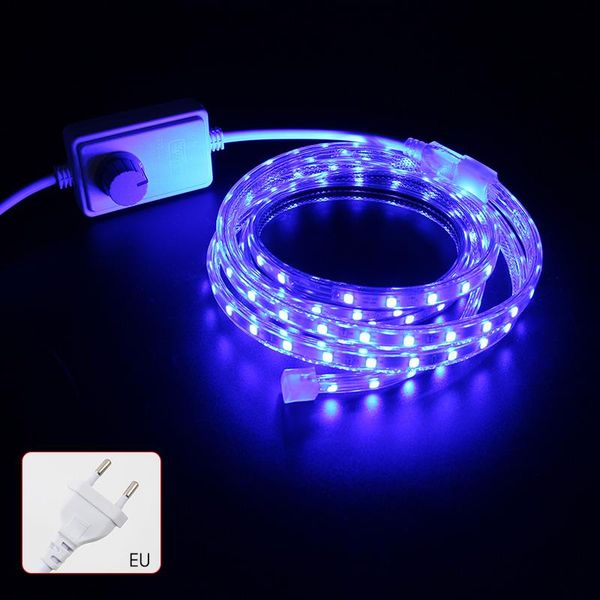 super bright smd dimmable ac 220v led strip light 2m kitchen outdoor waterproof garden lamp tape with eu plug blue lighting
super bright smd dimmable ac 220v led strip light 2m kitchen outdoor waterproof garden lamp tape with eu plug blue lighting