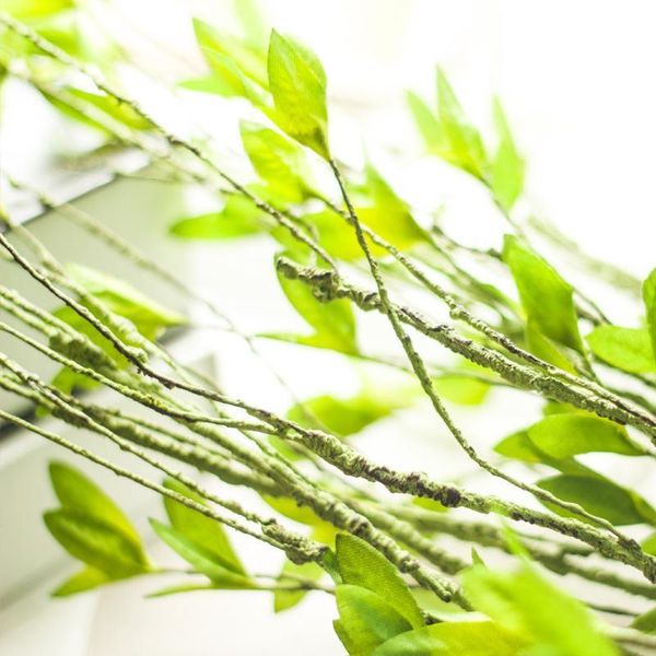 rattan handmade and branches artificial plants rattan tree vine home decoration green leaf flower arrangement 1m
rattan handmade and branches artificial plants rattan tree vine home decoration green leaf flower arrangement 1m