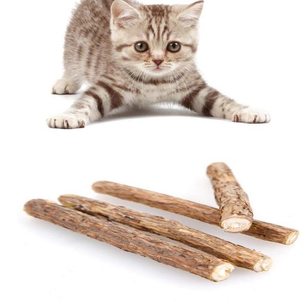 cat toys 3/4/6/7pcs cleaning teeth pure natural catnip pet molar toothpaste stick actinidia fruit sticks
cat toys 3/4/6/7pcs cleaning teeth pure natural catnip pet molar toothpaste stick actinidia fruit sticks