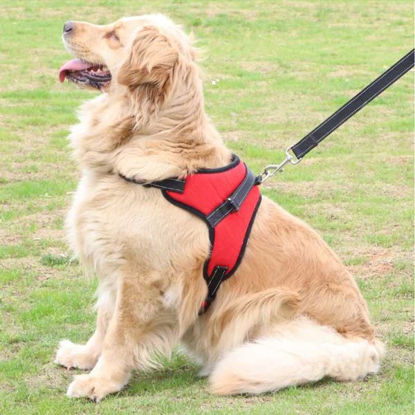 dog collars & leashes harnesses pet products vest nylon adjustable padded small medium large extra big harness
dog collars & leashes harnesses pet products vest nylon adjustable padded small medium large extra big harness