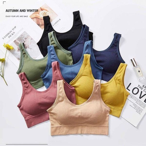yoga outfit women seamless bras solid color brassiere push up bra cotton bralette comfortable wireless underwear v back female lingerie
yoga outfit women seamless bras solid color brassiere push up bra cotton bralette comfortable wireless underwear v back female lingerie