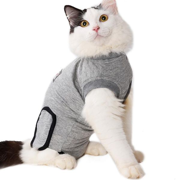 carriers, slings & backpacks recovery of clothes after sterilization grey xs cat pet skin disease wound anti lick and scratch
carriers, slings & backpacks recovery of clothes after sterilization grey xs cat pet skin disease wound anti lick and scratch