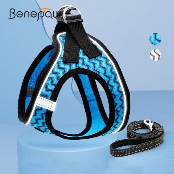 benepaw durable no pull small medium dog harness and leash set breathable reflective cat puppy harness vest easy put on/take off
benepaw durable no pull small medium dog harness and leash set breathable reflective cat puppy harness vest easy put on/take off