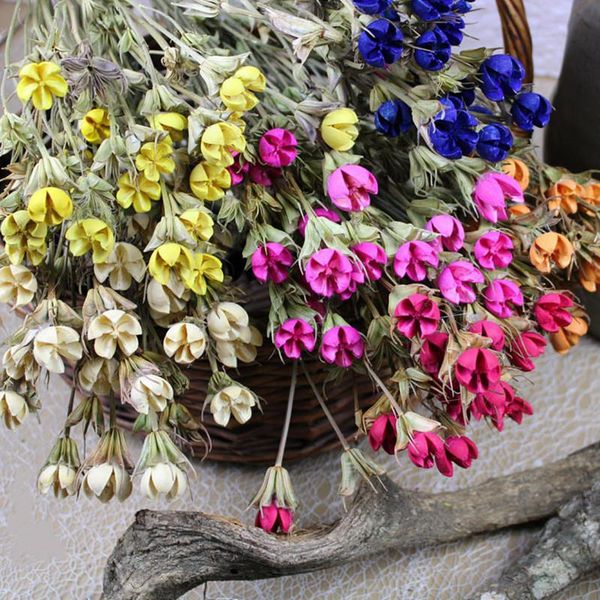 decorative flowers & wreaths natural dried flower pistachio handmake happy fruit dekoration dry wedding living room decoration accessories
decorative flowers & wreaths natural dried flower pistachio handmake happy fruit dekoration dry wedding living room decoration accessories