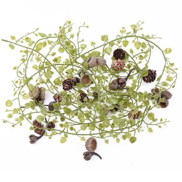 20pcs natural dried flowers pine cone acorn wholesale artificial flower for home christmas diy garland wreath wedding de jllbib
20pcs natural dried flowers pine cone acorn wholesale artificial flower for home christmas diy garland wreath wedding de jllbib