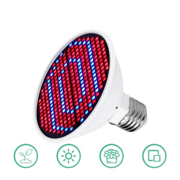 led grow light phytolamp for full spectrum grow tent lights lamp lamp indoor lighting hydroponic growth light e27 plant la
led grow light phytolamp for full spectrum grow tent lights lamp lamp indoor lighting hydroponic growth light e27 plant la