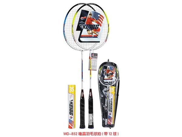 one pair 70cm metal holder professional badminton rracket with 12pcs ball color package
one pair 70cm metal holder professional badminton rracket with 12pcs ball color package