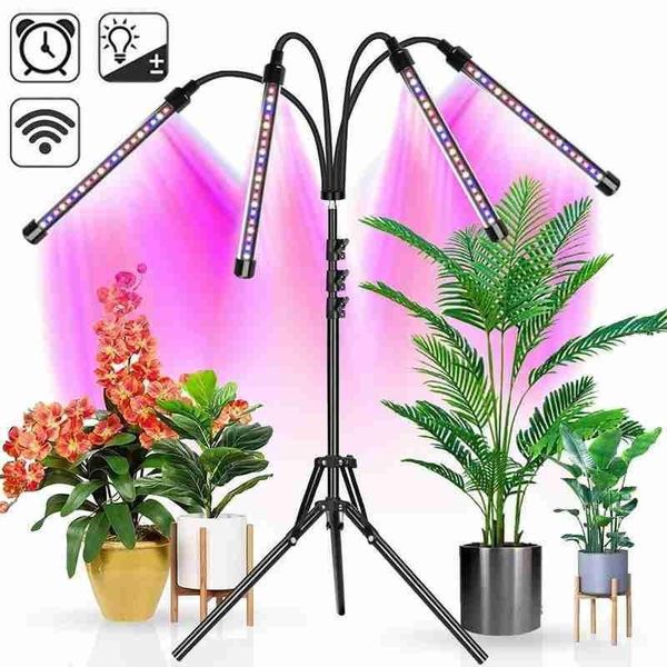 led lamp for plants phytotape for plants with remote control light garden folding multifunctional tripod plant lamp
led lamp for plants phytotape for plants with remote control light garden folding multifunctional tripod plant lamp