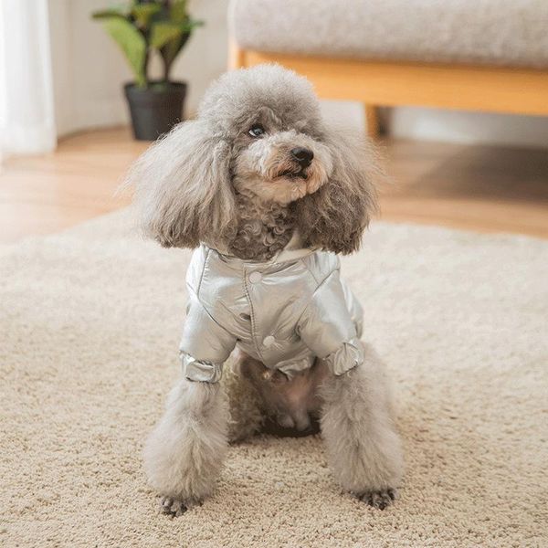 dog apparel autumn and winter casual styles pet clothing warm comfortable fashionable simple bichon jacket dogs cotton-padded clos
dog apparel autumn and winter casual styles pet clothing warm comfortable fashionable simple bichon jacket dogs cotton-padded clos