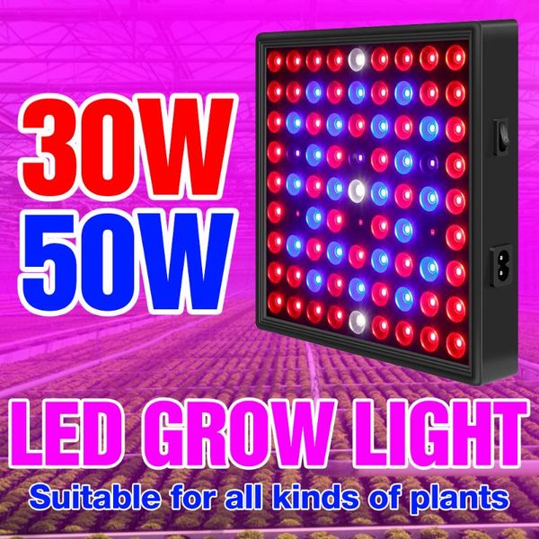 full spectrum growth lamp greenhouse grow tent for seedling flower fitolamp 30w 50w led phyto light 220v plant lighting eu plug
full spectrum growth lamp greenhouse grow tent for seedling flower fitolamp 30w 50w led phyto light 220v plant lighting eu plug