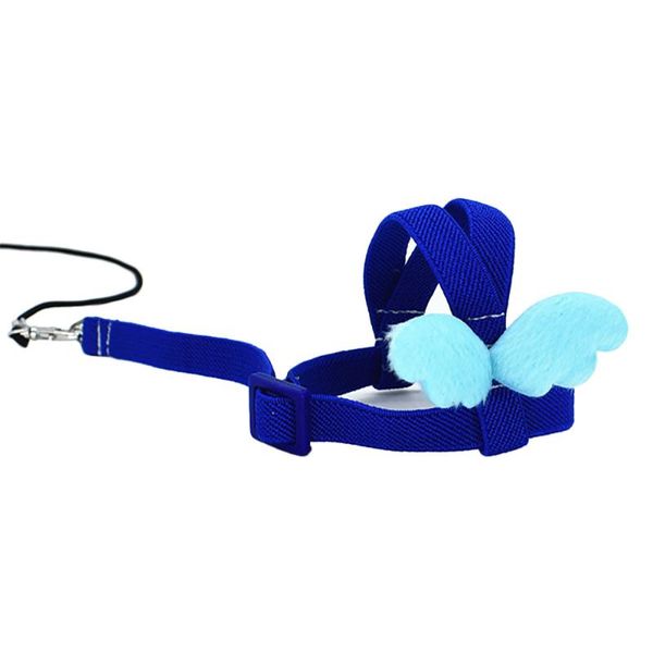 other bird supplies parrot pet leash ultralight harnesses traction rope strap-type portable cockatoos parakeets parrots anti bite flying ban
other bird supplies parrot pet leash ultralight harnesses traction rope strap-type portable cockatoos parakeets parrots anti bite flying ban