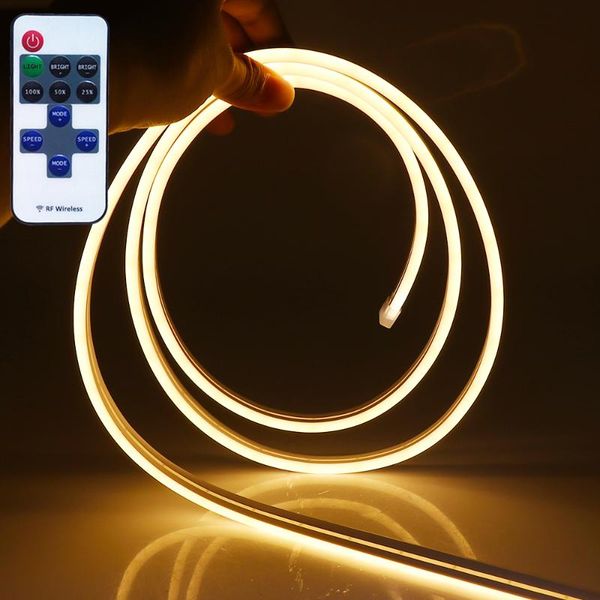 strips dc 12v dimmerable neon strip waterproof 120leds/m smd 2835 led white pink red blue green flexible lamp with remote
strips dc 12v dimmerable neon strip waterproof 120leds/m smd 2835 led white pink red blue green flexible lamp with remote