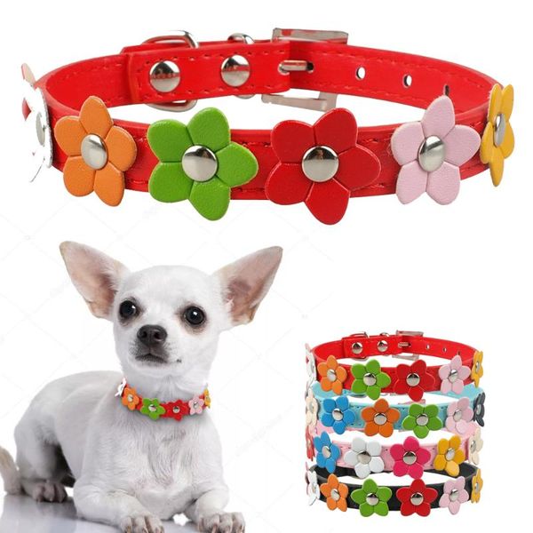 cute flower small dog collar sun flower studded leather dog collars pet accessories for small puppy pink red blur black
cute flower small dog collar sun flower studded leather dog collars pet accessories for small puppy pink red blur black