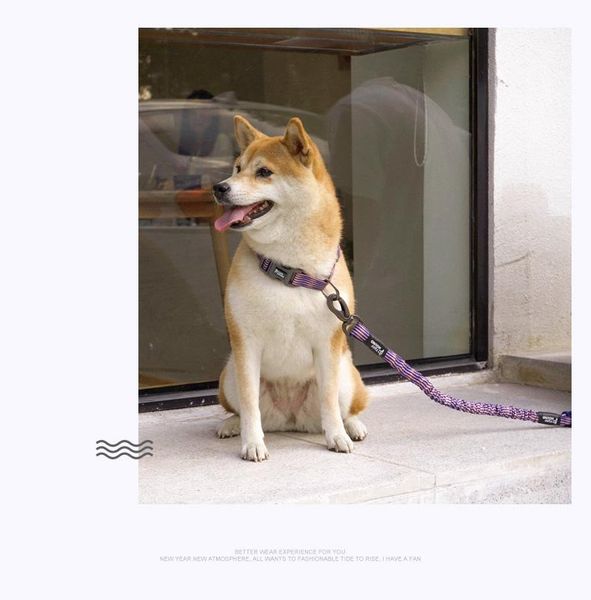 dog collars & leashes solid breathable harness small puppy cat vest harnesses neck collar chest strap leash hundehalsband pet products oo50x
dog collars & leashes solid breathable harness small puppy cat vest harnesses neck collar chest strap leash hundehalsband pet products oo50x