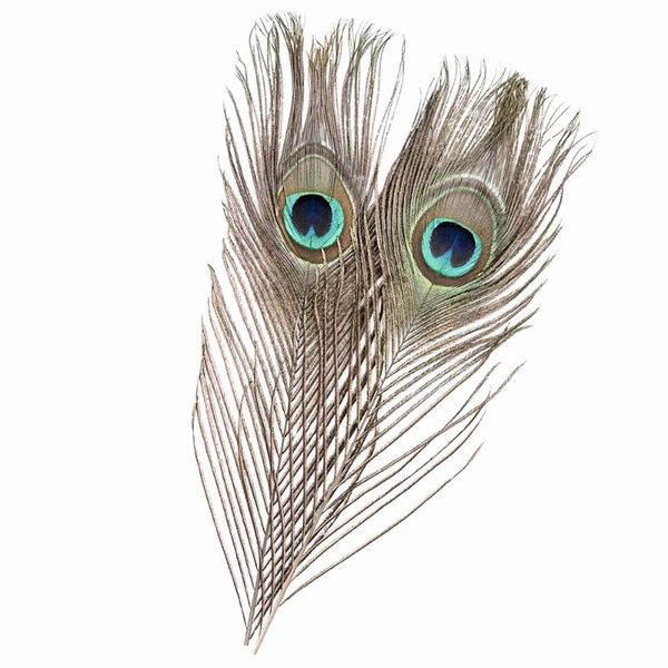 decorative objects & figurines 100pcs beautiful decoration peacock feathers multi-colored 180821120
decorative objects & figurines 100pcs beautiful decoration peacock feathers multi-colored 180821120