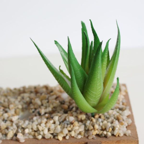 nuonuowell 10x artificial aloe vera with 10 leaves green succulent plant 12cm plastic cactus
nuonuowell 10x artificial aloe vera with 10 leaves green succulent plant 12cm plastic cactus