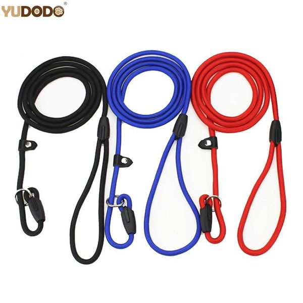 dog collars & leashes 120cm nylon p chain training leash adjustable slip collar pet outdoor lead supplies walking rope for small medium larg
dog collars & leashes 120cm nylon p chain training leash adjustable slip collar pet outdoor lead supplies walking rope for small medium larg