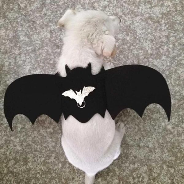 dog collars & leashes cute halloween pet cat costume bat wings walking harness vest chest strap with leash decorations1
dog collars & leashes cute halloween pet cat costume bat wings walking harness vest chest strap with leash decorations1